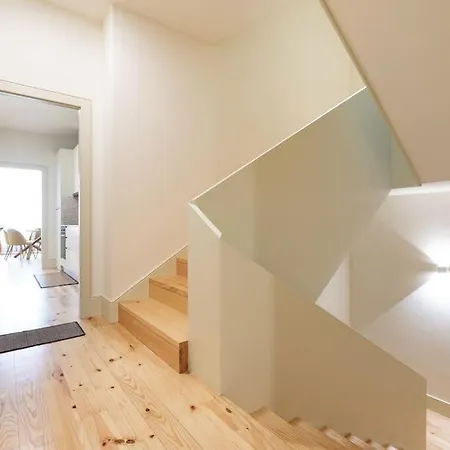 Viva Liberty 310 ポルト